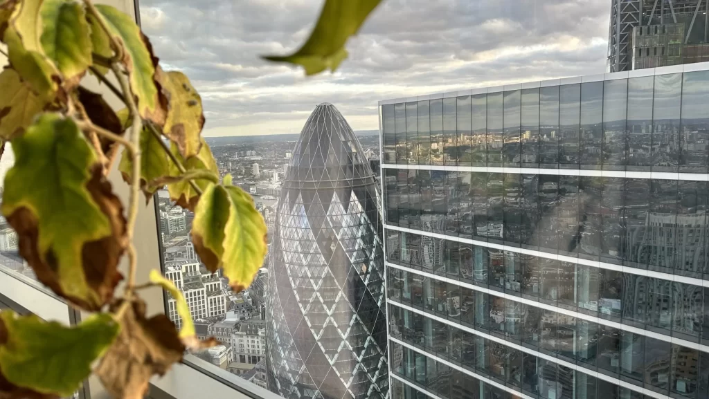 duck and waffle vistas gherkin londres