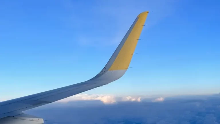 ala avion