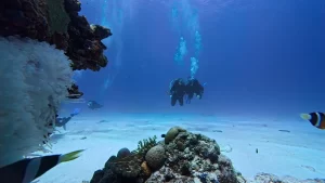 Mi equipo de buceo: lo que uso, lo que alquilo y lo que no repetiría (2026)